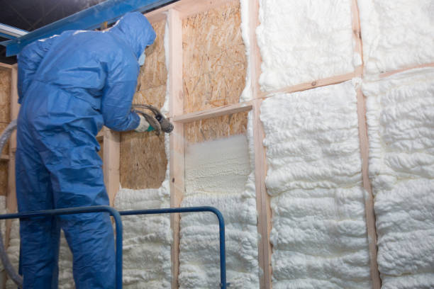 Best Insulation Air Sealing  in Brookhaven, MS